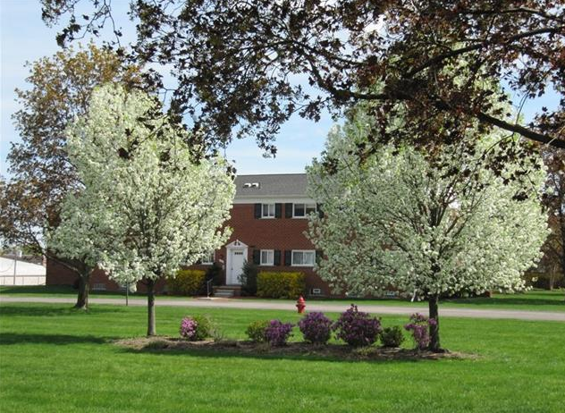 Condos for sale in Rochester Court Rochester Hills MI